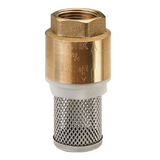 Brass Check Foot Valve w/ Strainer BSP