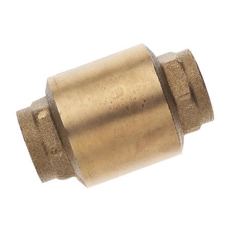 Brass Spring Check Valve BSP